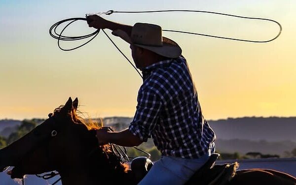 cowboy