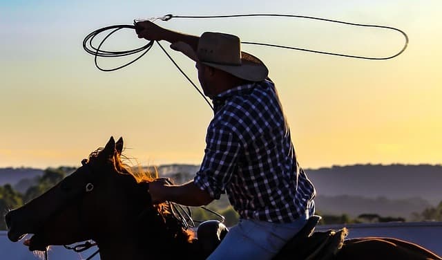 cowboy