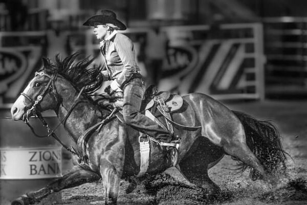 rodeo