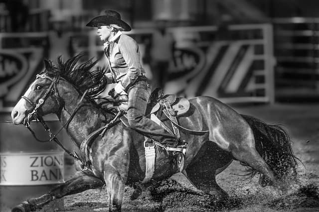rodeo